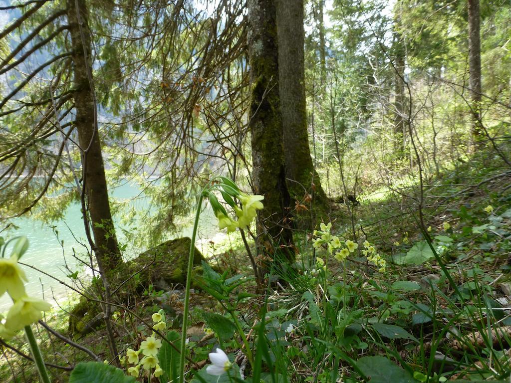 Berghotel Obersee Näfels Extérieur photo