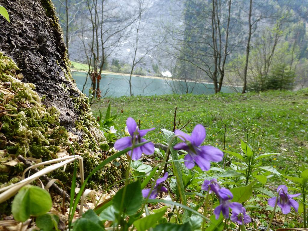 Berghotel Obersee Näfels Extérieur photo