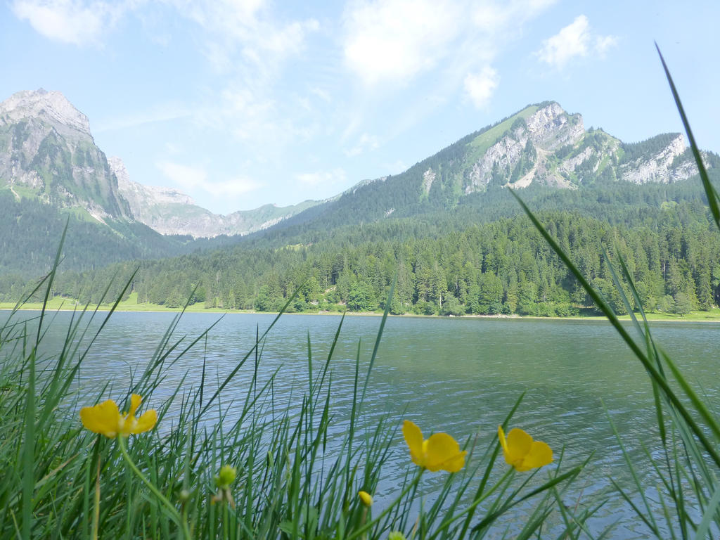 Berghotel Obersee Näfels Extérieur photo